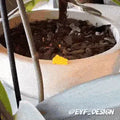 3D Utskrift - 3D Design -3dbutik.se Baby Cheeses-skämt..