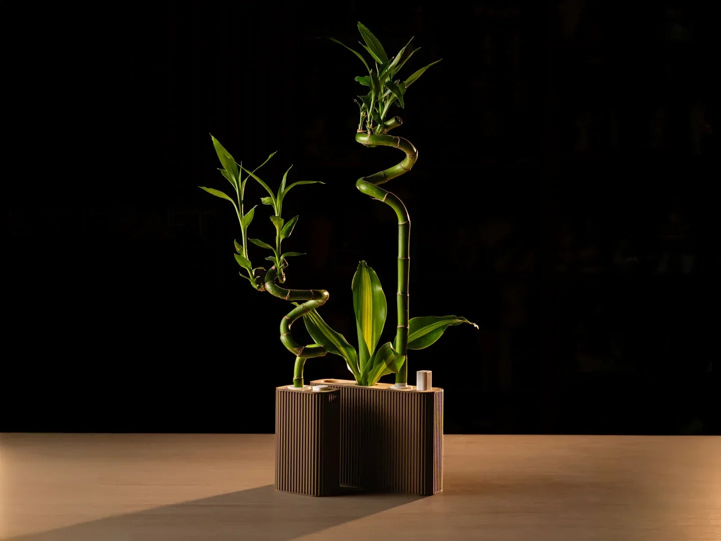 Parametrisk bambuplanterare - 3dbutik.se