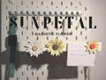 3D Utskrift - 3D Design -3dbutik.se Solblad - magnetisk blomma..
