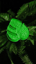 3D Utskrift - 3D Design -3dbutik.se MONSTERA LEAF SMYCKESBRICKA..