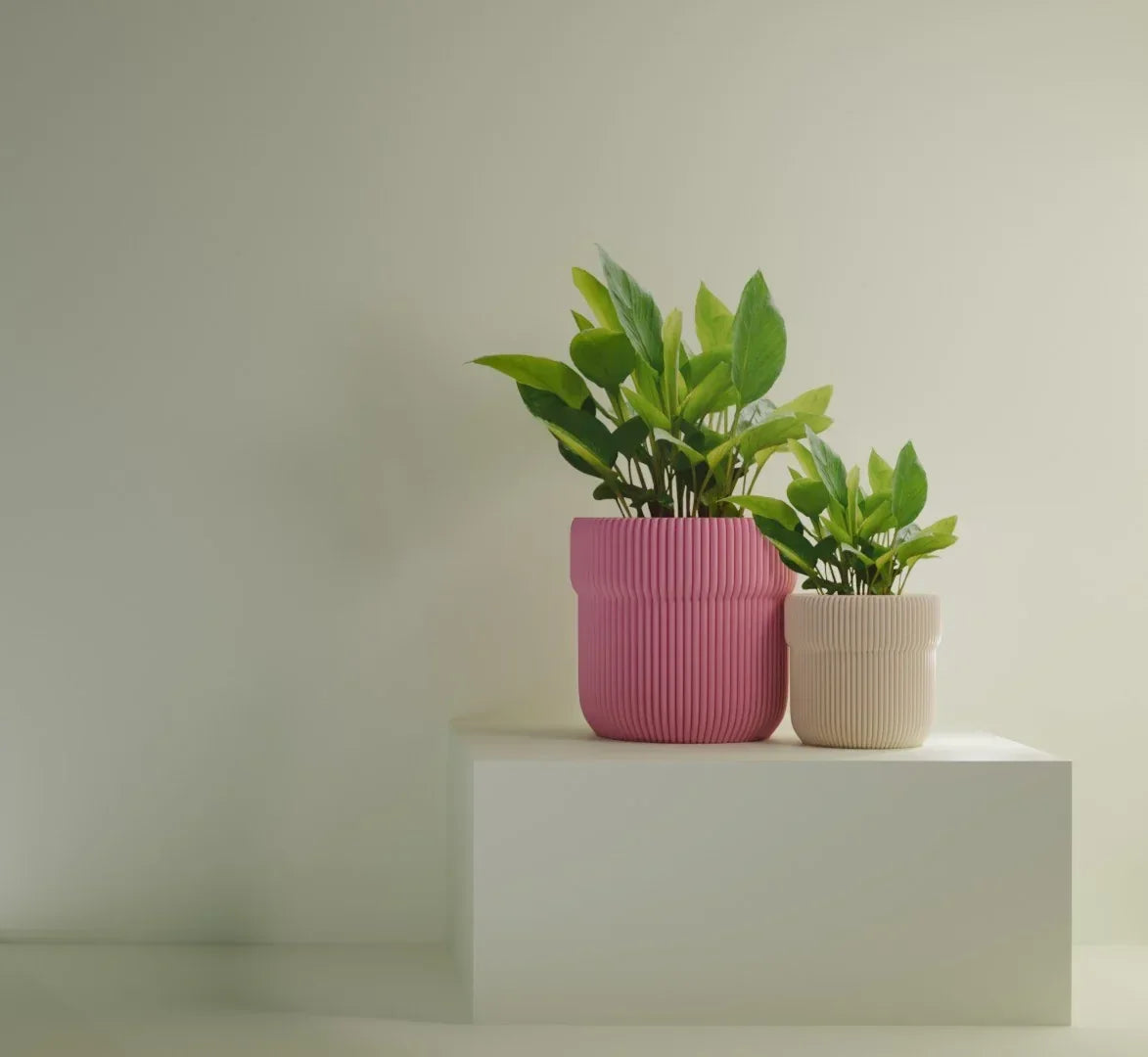 TRUCO POT - 3dbutik.se