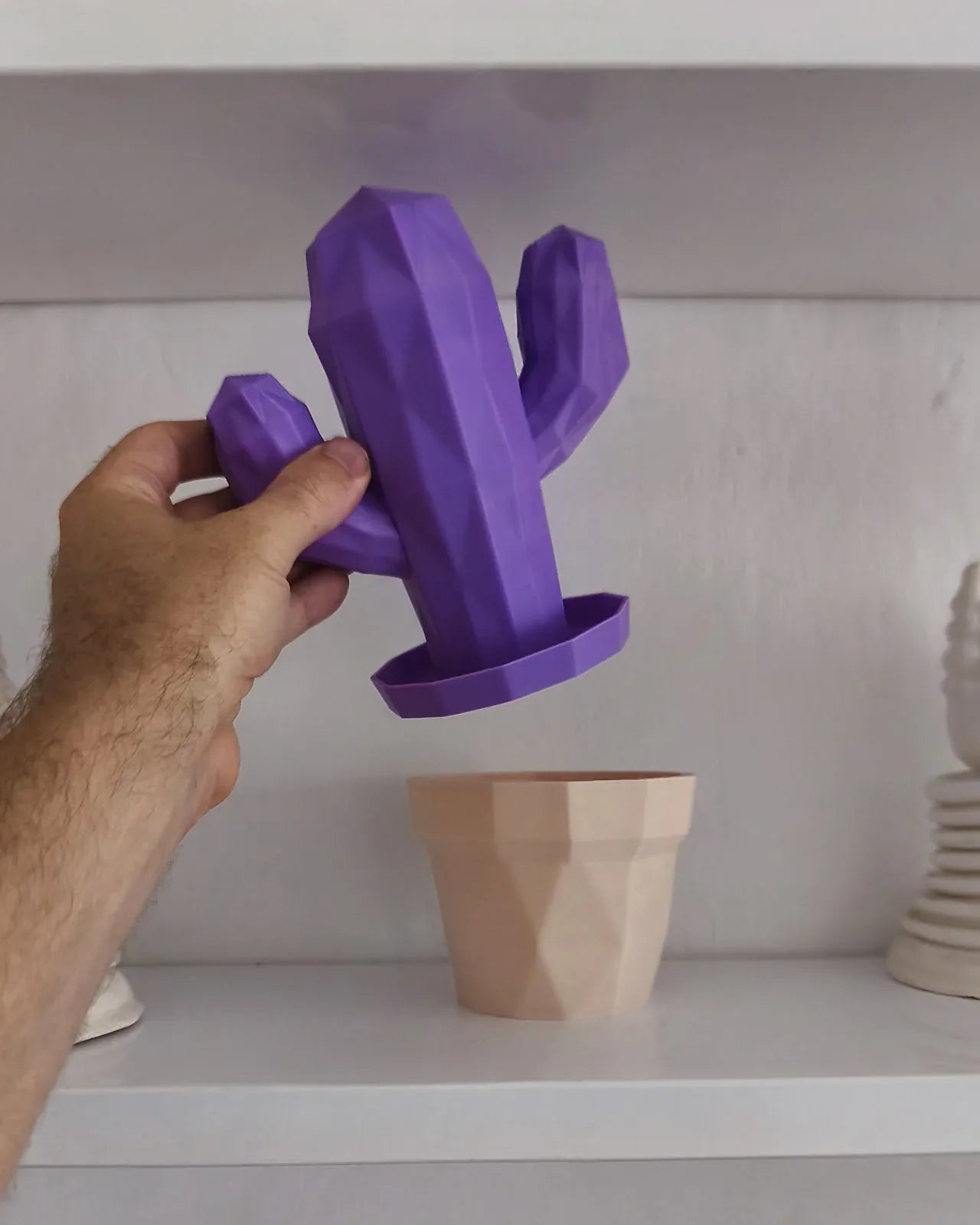 Organisatör av kaktusplanterare - 3dbutik.se