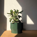 3D Utskrift - 3D Design NIZA POT