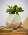 3D Utskrift - 3D Design -3dbutik.se Sofía Planteringskruka / Sofía Planter Pot - Design by: Lunfardo Licenstyp: HiveCommunity.