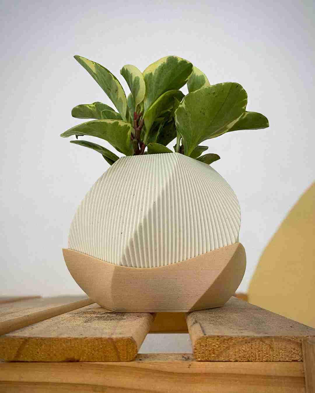 Sofía Planteringskruka / Sofía Planter Pot - Design by: Lunfardo Licenstyp: HiveCommunity. - 3dbutik.se