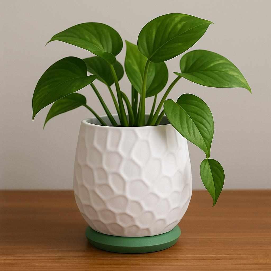 Nido Planter Design by: kraken.stl Licenstyp: HiveCommunity
