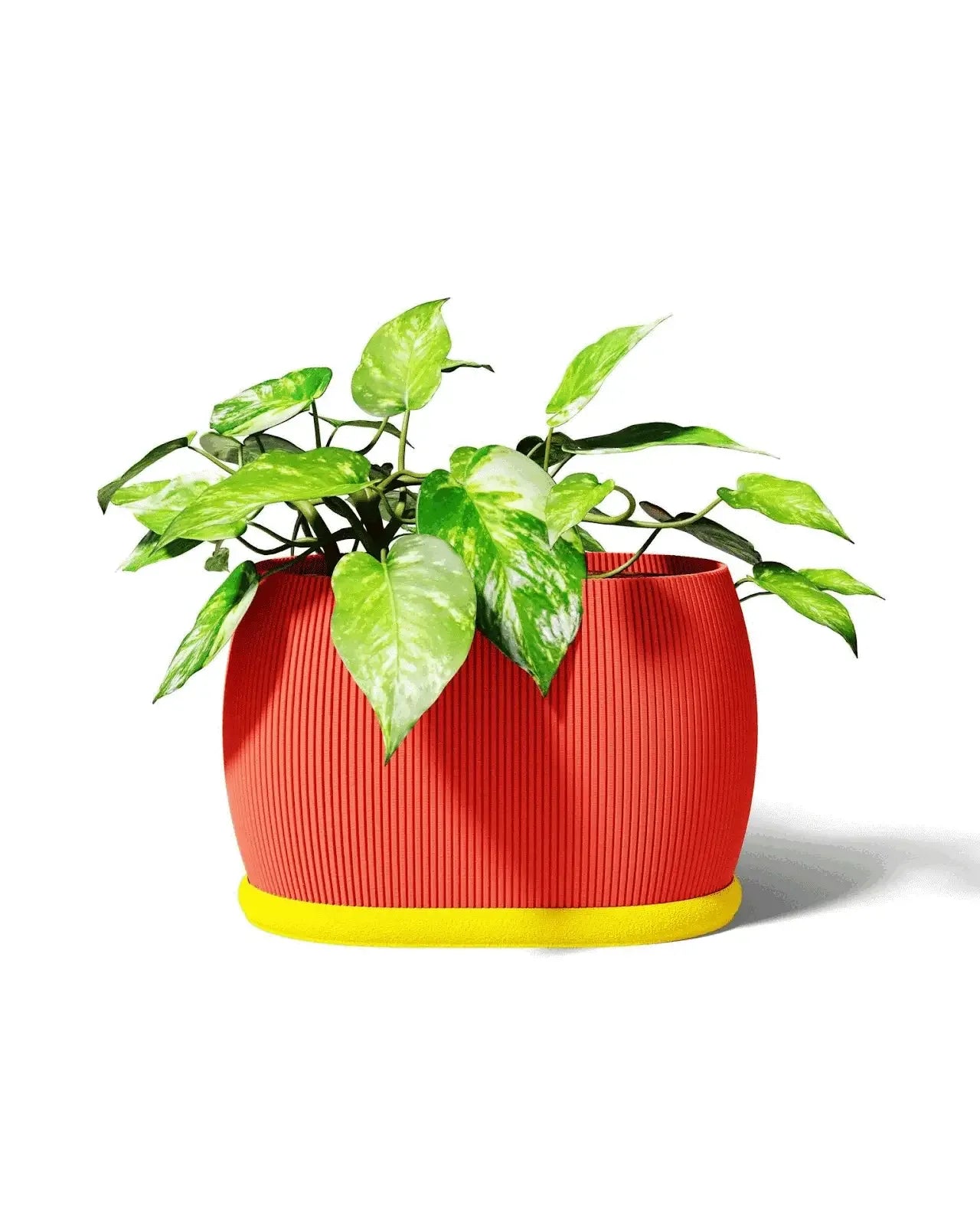 Barrel Planter Design by: Kowafatkompaniet Licenstyp: HiveCommunity - 3dbutik.se