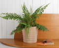3D Utskrift - 3D Design -3dbutik.se Pina Planteringskruka..