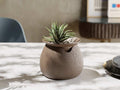 3D Utskrift - 3D Design -3dbutik.se AQUAFLORA SJÄLVVATTNANDE PLANTERING..