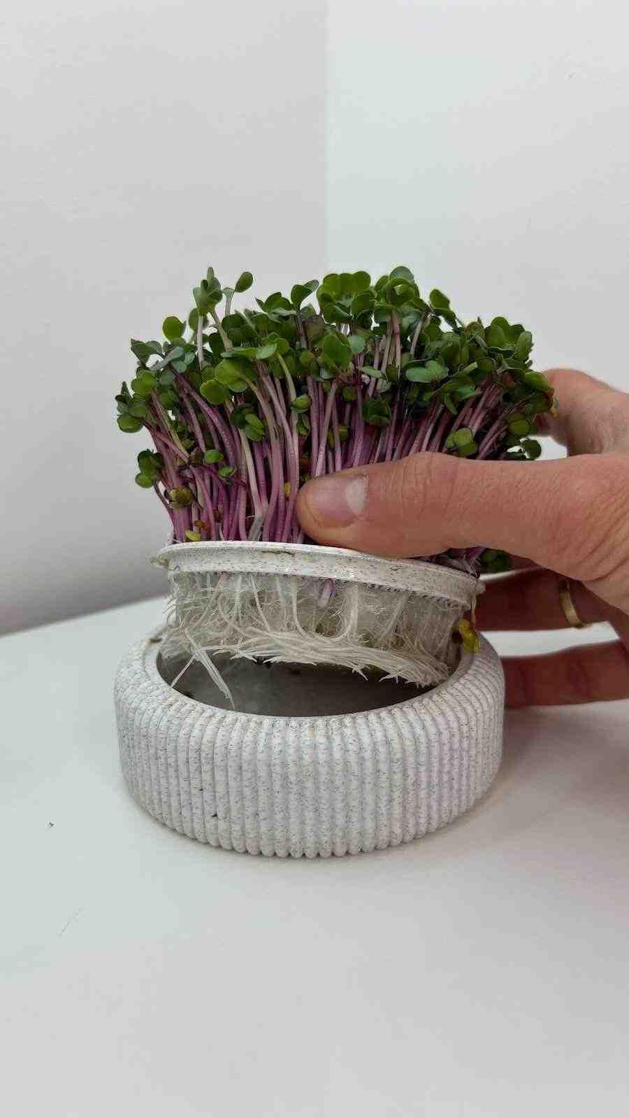 3D Utskrift - 3D Design -3dbutik.se Microgreens odlingskit..